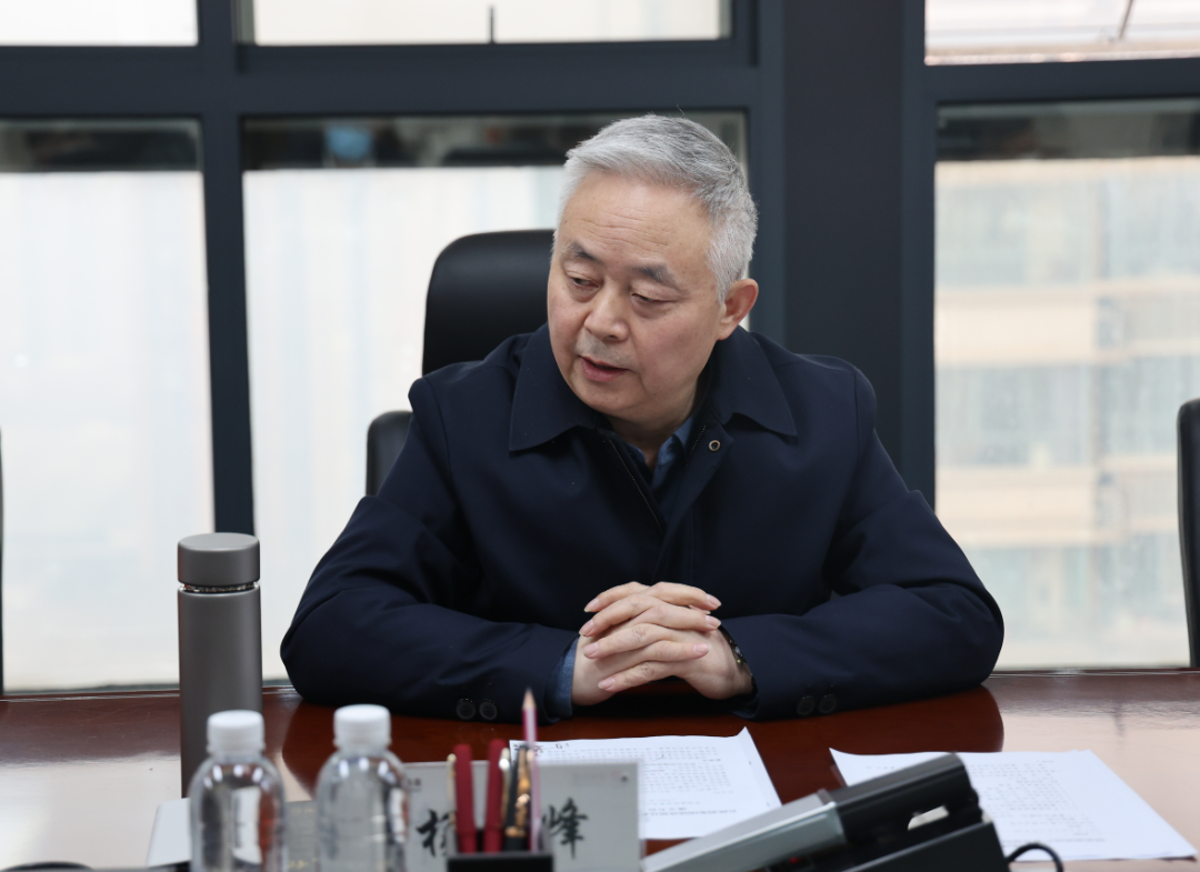 楊海峰對鎂鐵釩鈦耦合發展提出新要求