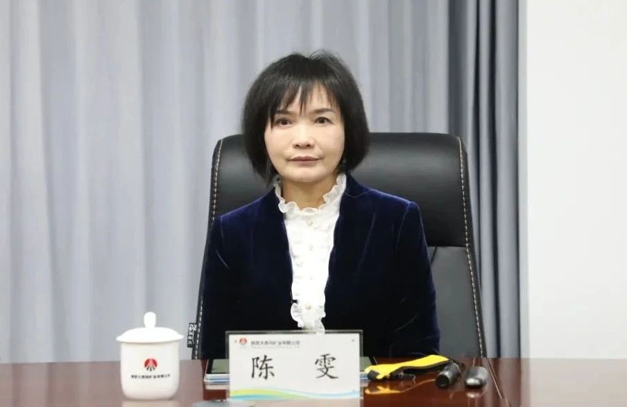 陜鋼集團召開大西溝菱鐵礦低成本開發(fā)領(lǐng)導(dǎo)小組會議