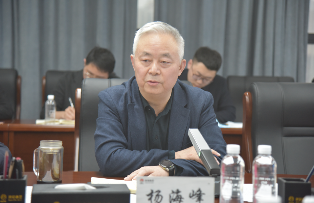 蓄積發展新動能 擊鼓催征再出發——陜鋼集團召開鎂鐵釩鈦耦合發展領導小組第二次工作會
