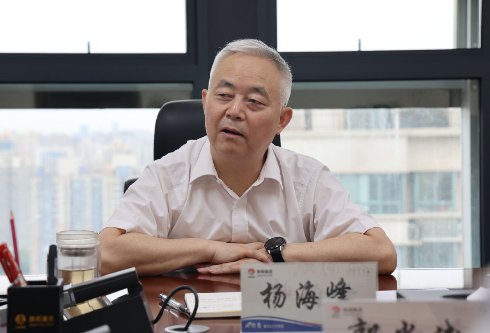 以務實舉措促黨建工作效率和質量再提升——楊海峰對高質量黨建工作提出要求