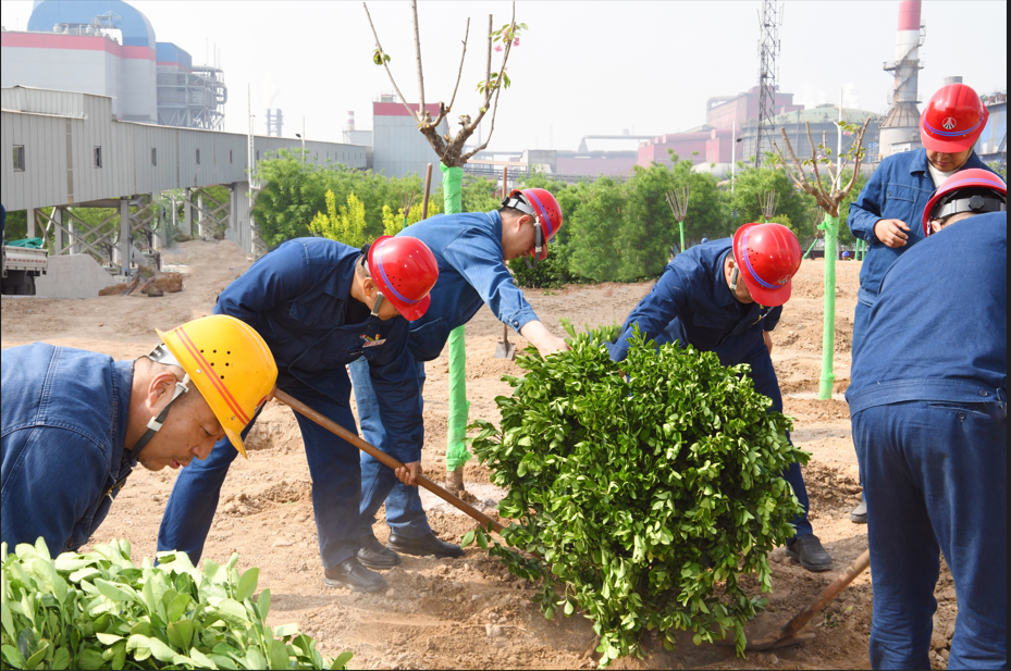 陜鋼龍鋼公司自主綠化節資1000萬元
