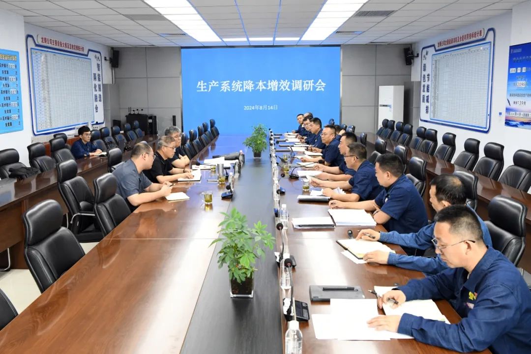 楊召朋到龍鋼公司進行生產系統降本增效工作調研
