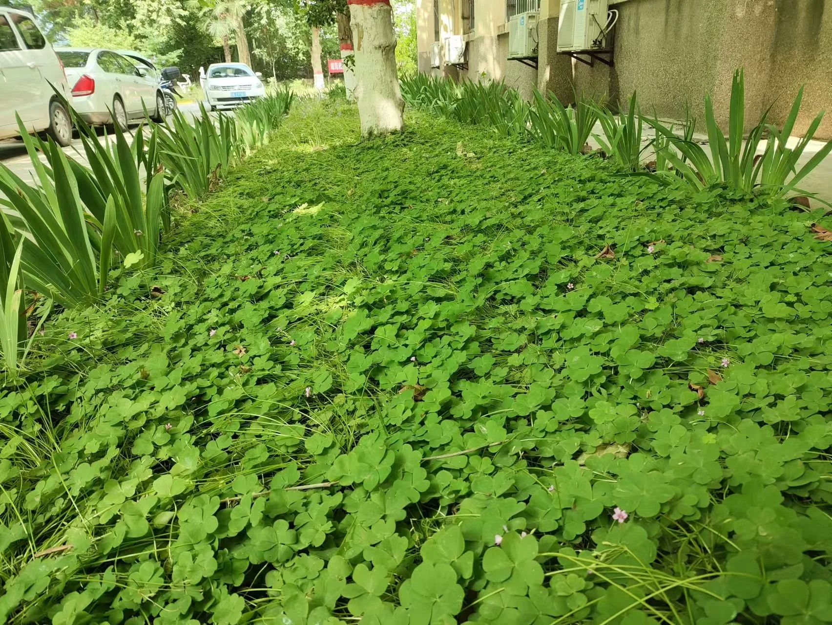 創建溫馨美麗園區 助推多元產業發展