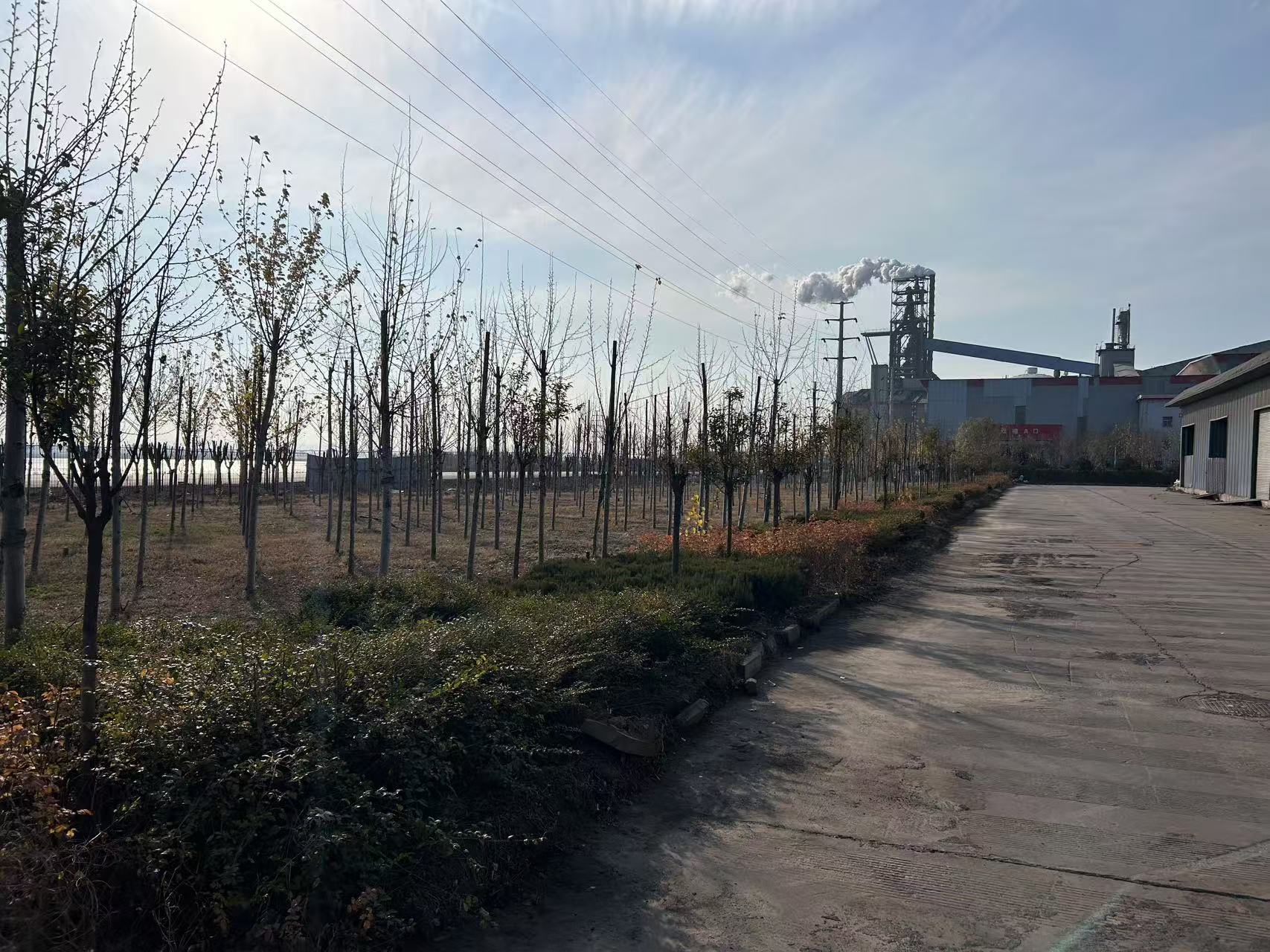 初冬的龍門工業園