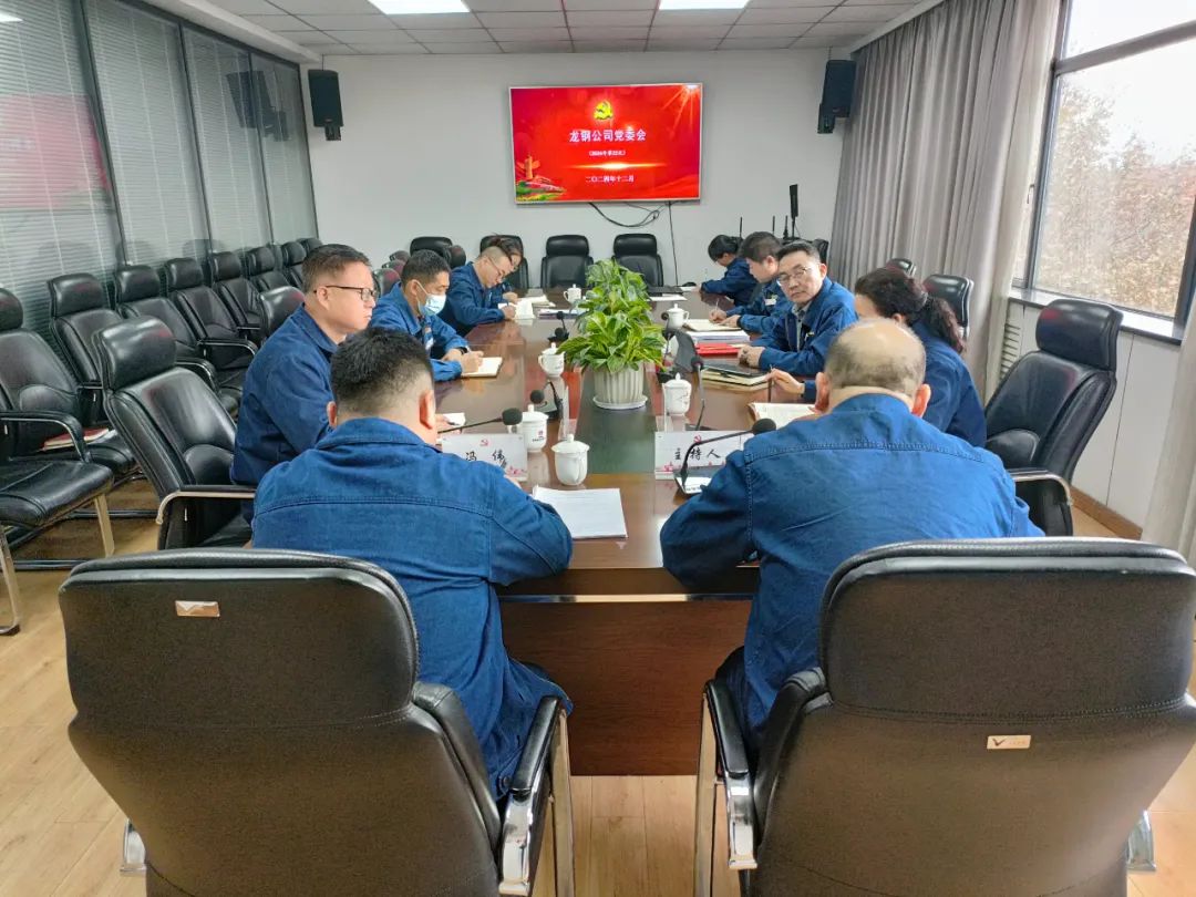 充分發揮黨建引領作用 凝聚推動高質量發展強大合力