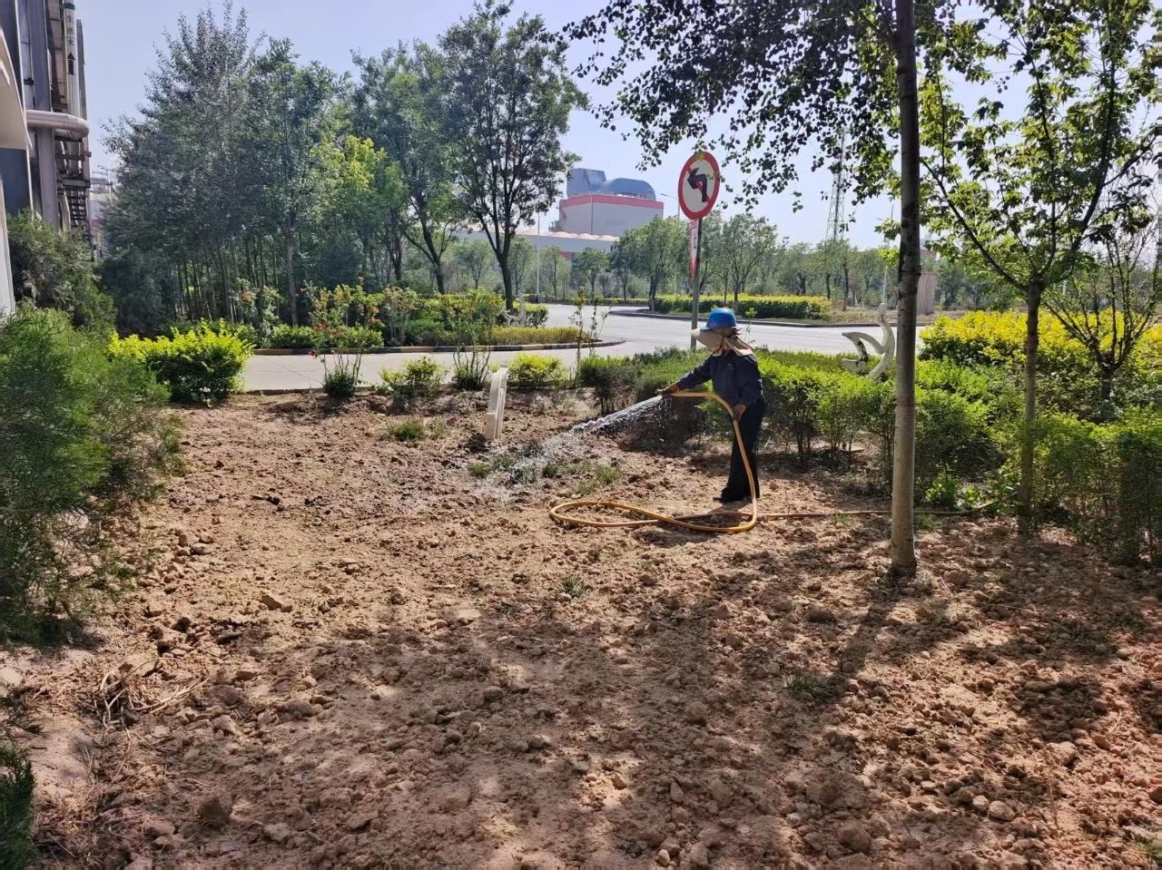 禹宏環保科技公司：綠蔭如蓋綻新顏，綠色發展譜新篇